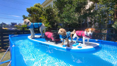 IMG02815_HDR.jpg
