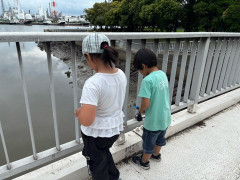 IMG_2099.jpeg