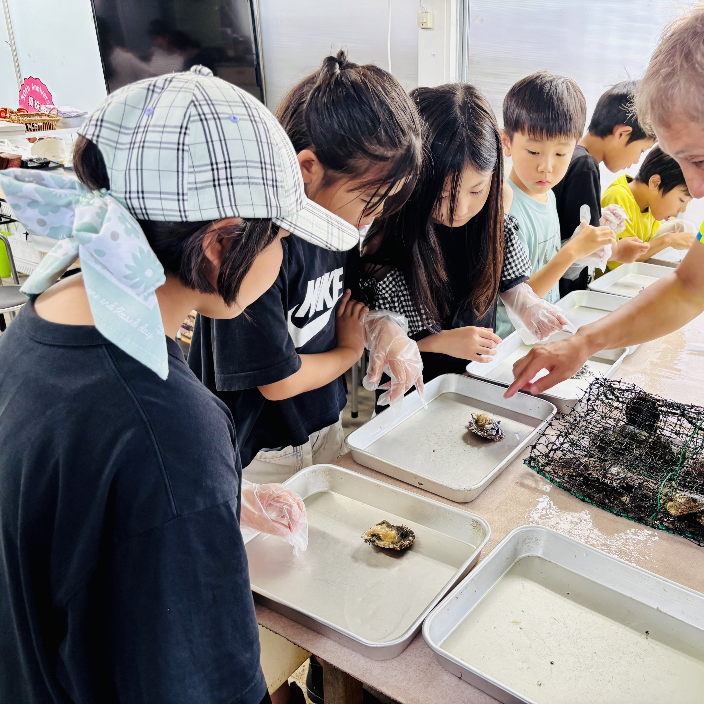 特別プログラム〜真珠取り出し アクセ作り体験〜