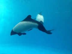 IMG_5397.jpeg