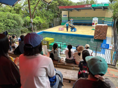 IMG_6251.jpeg