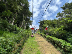 IMG_6201.jpeg