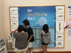 IMG_6348.jpeg
