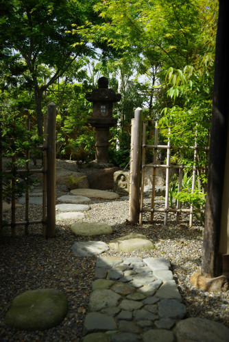 IMGP4938.JPG