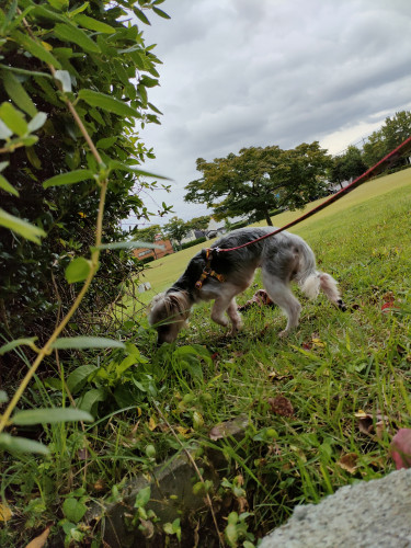IMG20221009101804.jpg