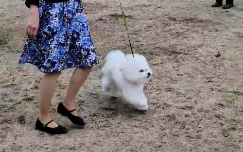 1744514107535_exported_23946~3.jpg