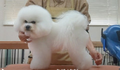 Screenshot_20260403-144108~3.png