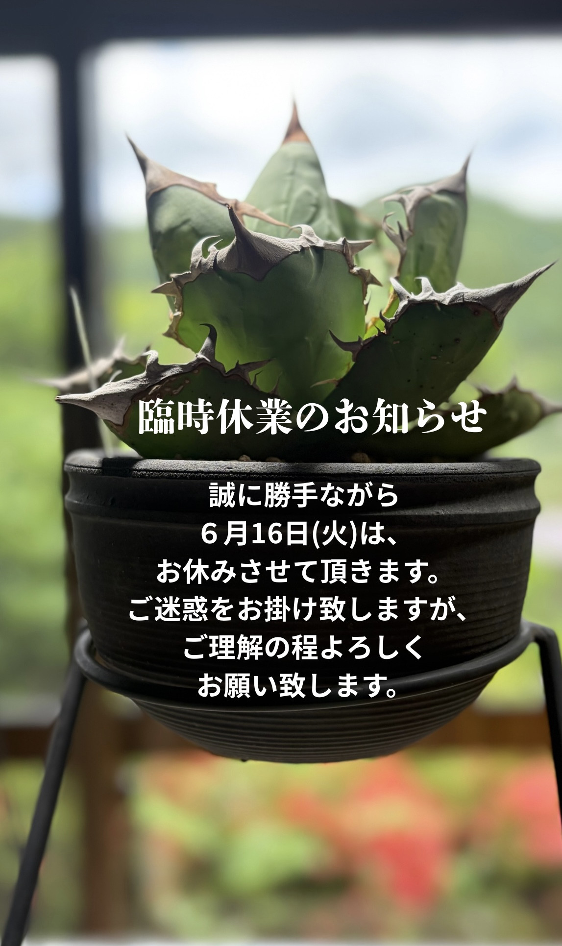 臨時休業のお知らせ