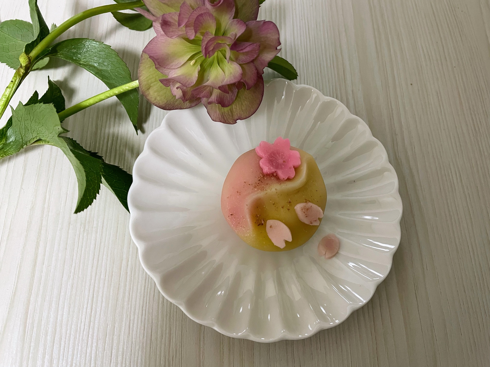 花便り
