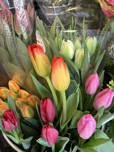 本日のおすすめ✨