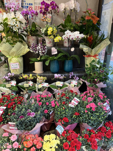 ５月１１日は母の日です✨