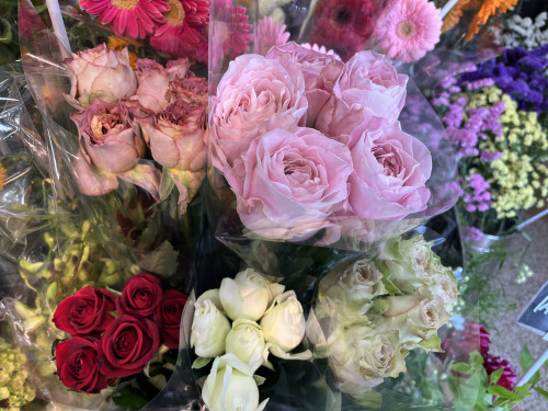 本日のおすすめ✨