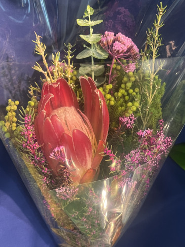 本日のおすすめ✨