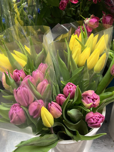 本日のおすすめ✨