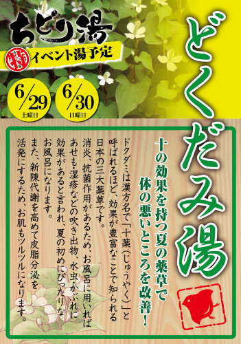 2019_6_どくだみ湯.jpg