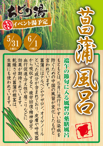 5月のイベント湯は、「菖蒲風呂」です。
