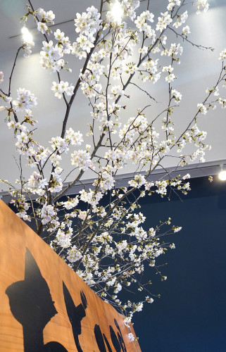 sakura_2.jpg