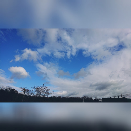 CollageMaker_20181231_135608077 (2).jpg