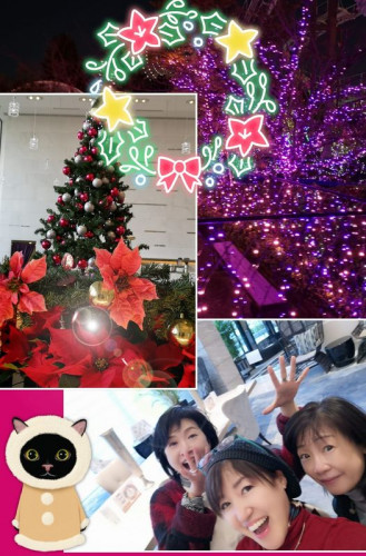 まっちゅう2020.12.15.jpg