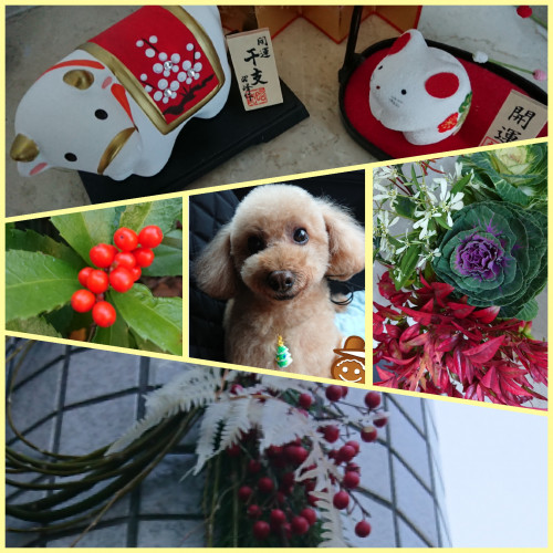 PhotoEditor-20201231105508.jpg