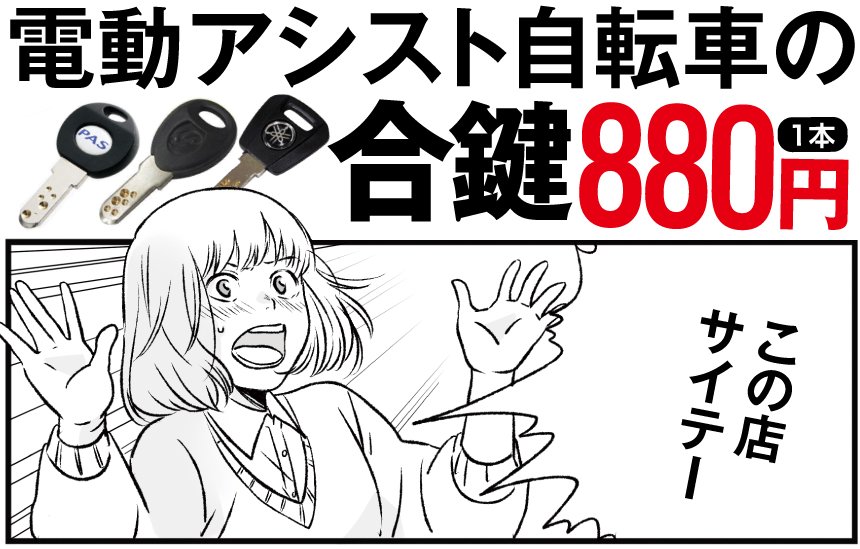 自転車ディンプルバナ2.jpg