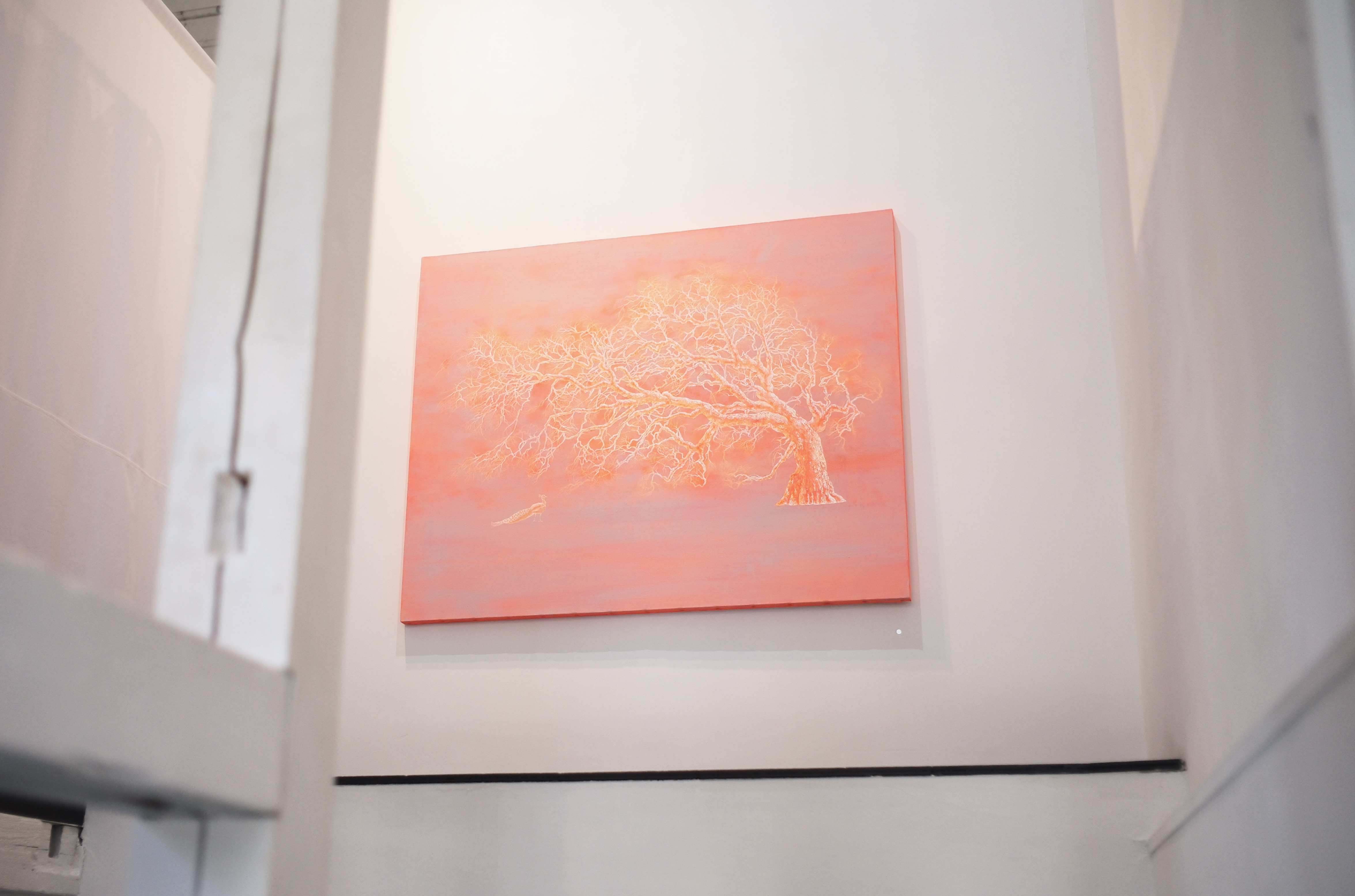 L1009885.JPG