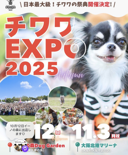 チワワEXPO 2025Halloweenに出店します