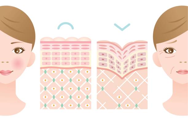 本気の肌修復フェイシャルメニュー