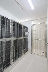 犬入院室 縮小.jpg