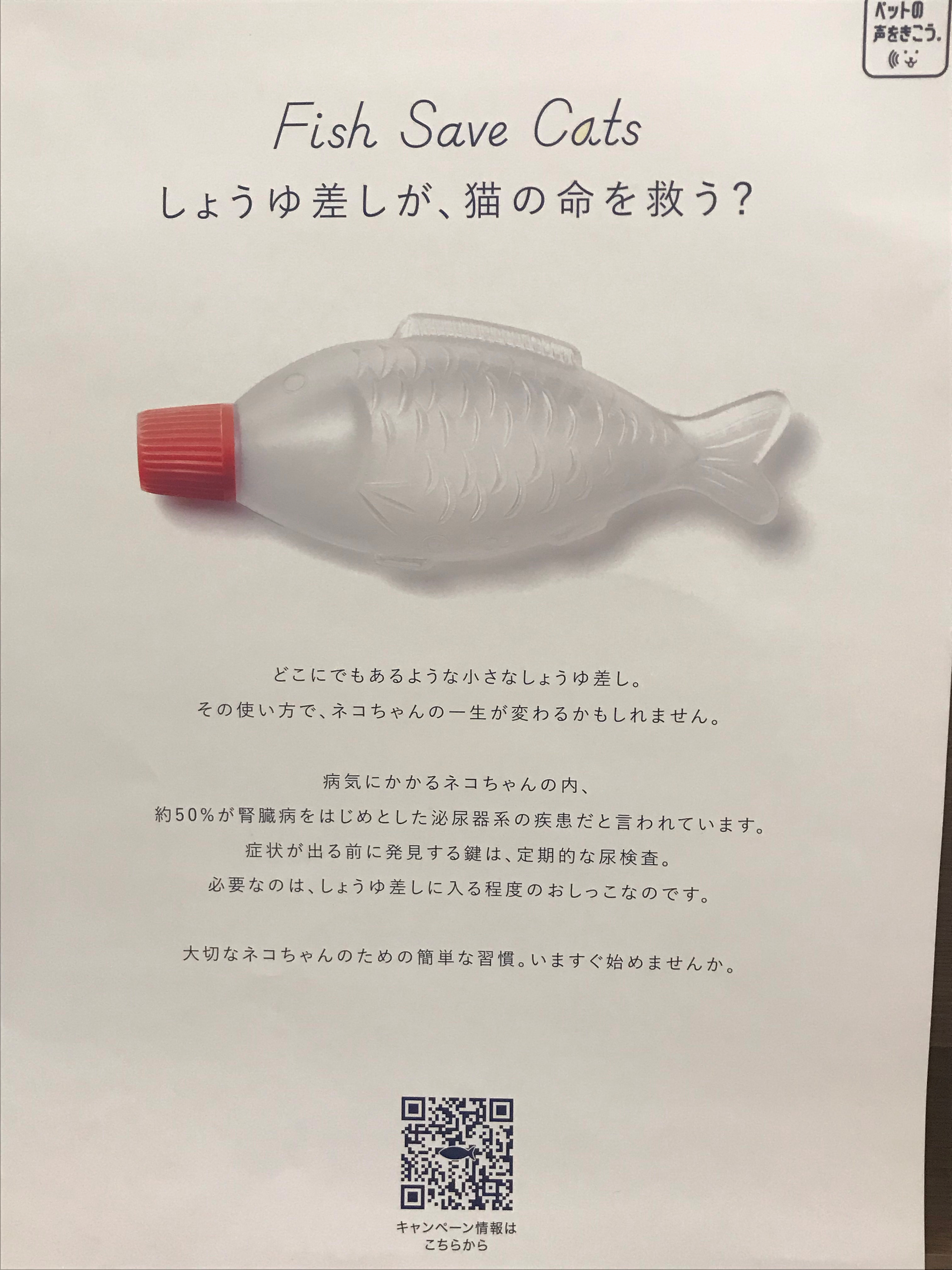 尿検査のおすすめ 飯山 あめり動物病院