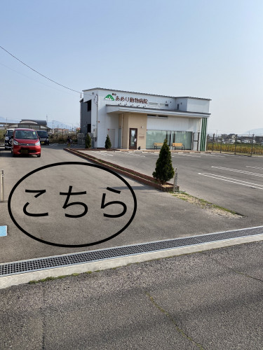 51BA9EDC-377A-4D26-8EAC-D93044641015.jpeg