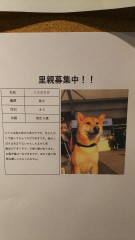 くりのすけ.jpg