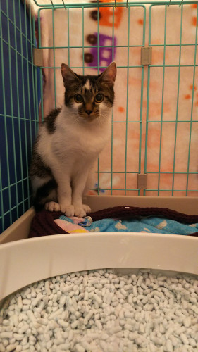 20181031DSC_1382.JPG
