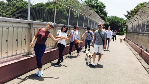 メニュー 料金 Dog Spirit Lead With Energy