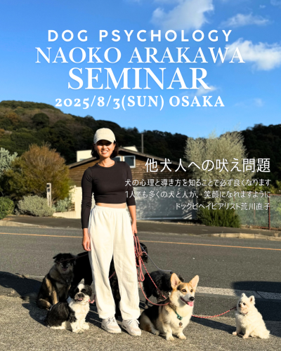 荒川直子「他犬人への吠え問題攻略セミナー」