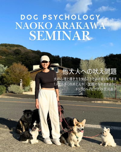 主導権を握る必要性 (Instagramの投稿（45）)-2.jpg