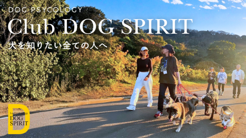 【dog spirit 様】.png