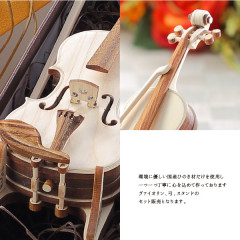 violin_600_02.jpg