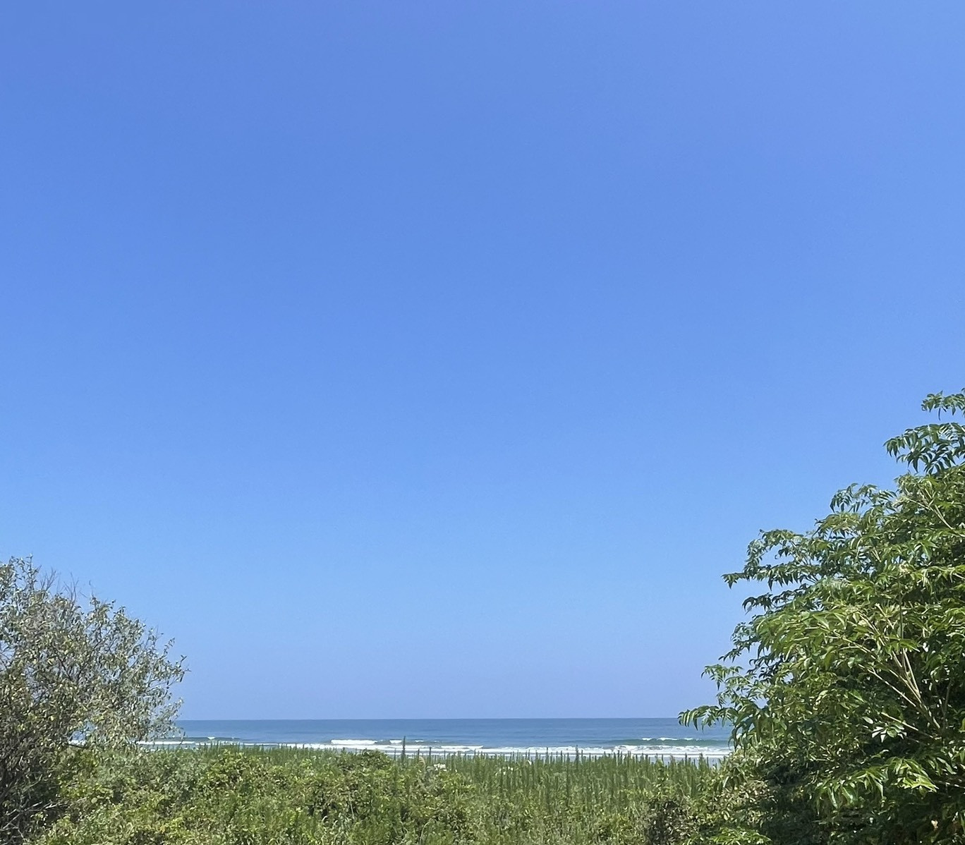 目の前は青い海　SALVIA Ayurveda