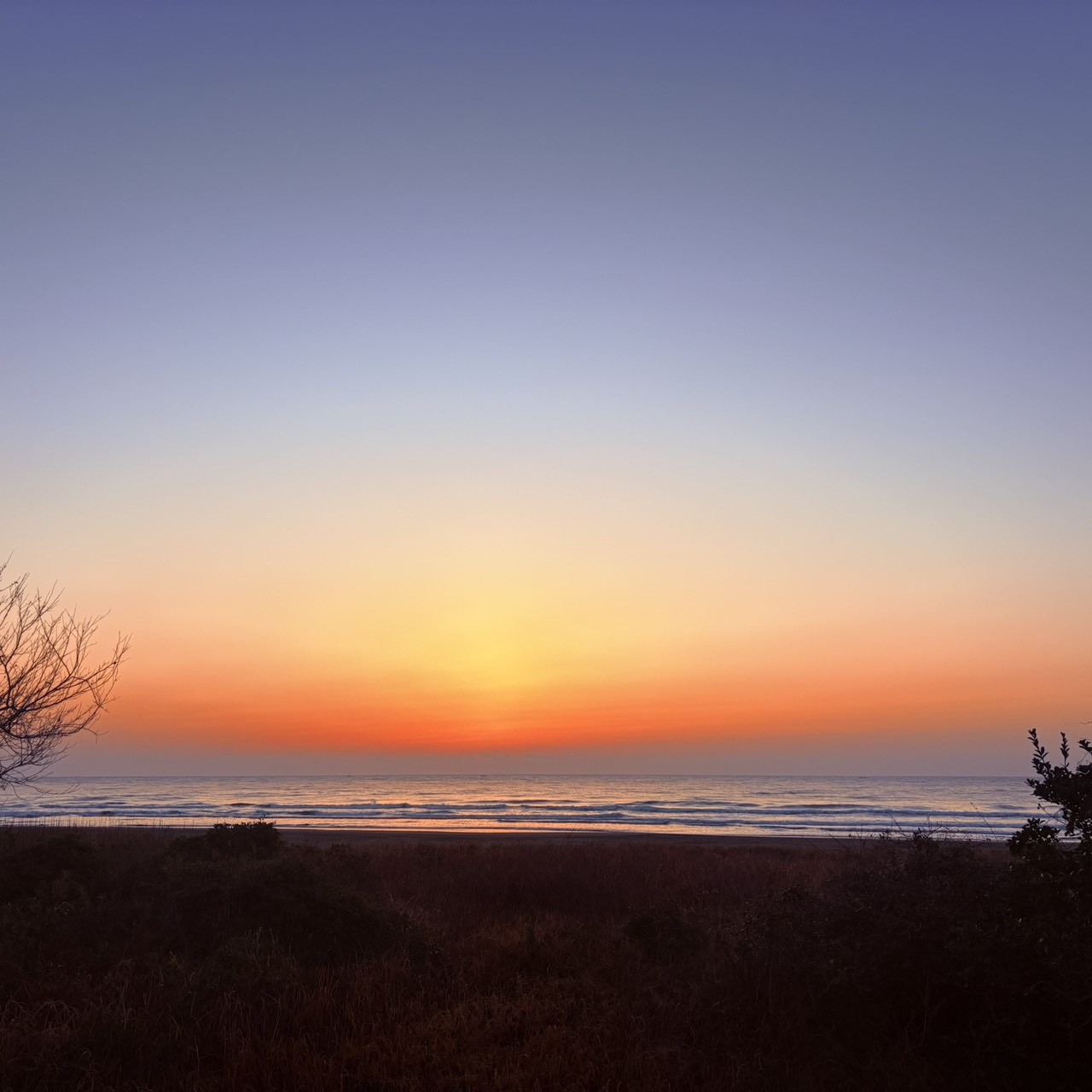 サロンからのサンライズ　SALVIA Ayurveda 