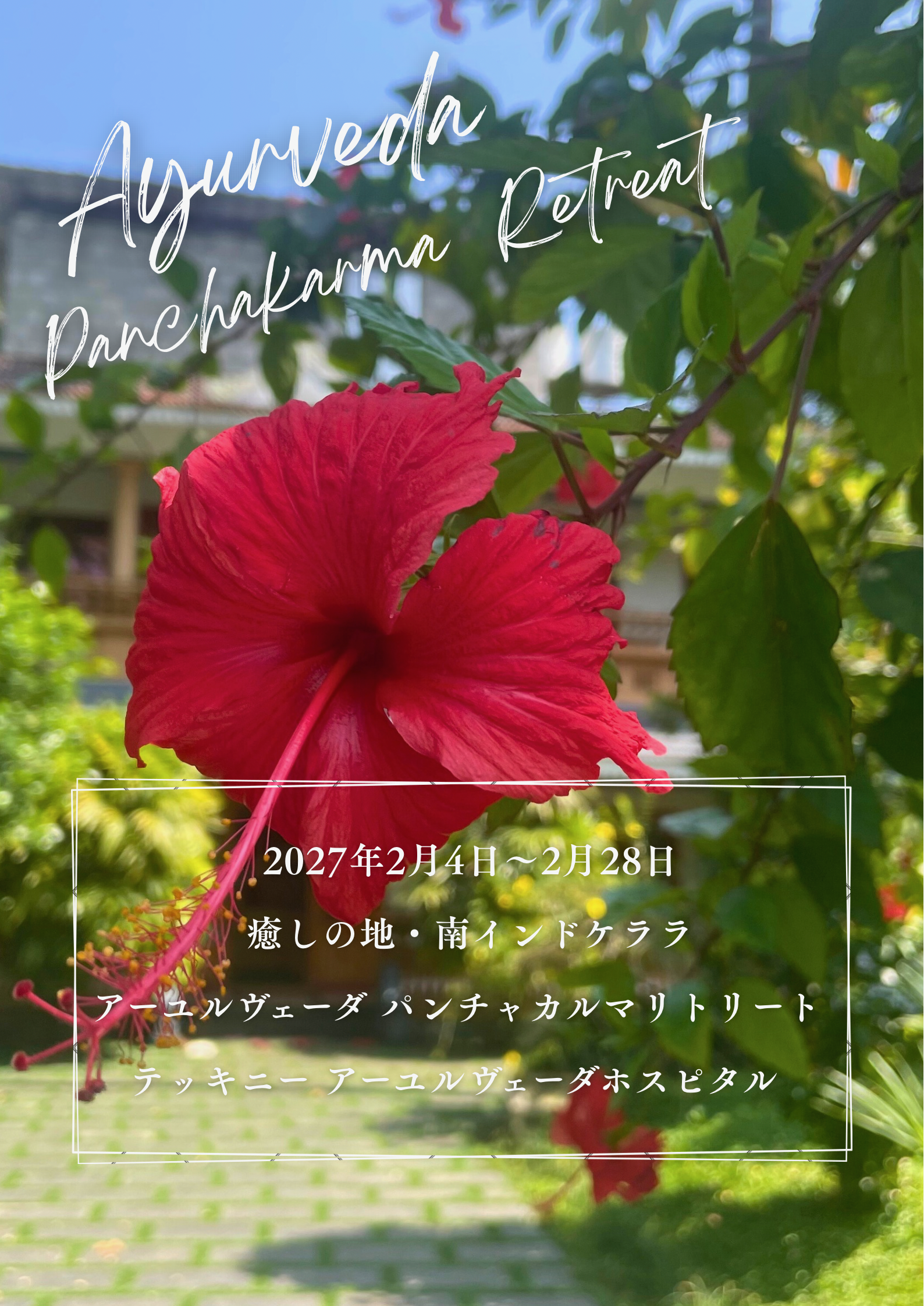 南インド　ケララ　アーユルヴェーダパンチャカルマリトリート　予約受付中