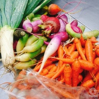 4月のビストロコースのご案内