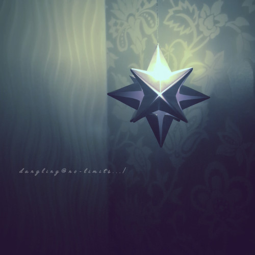 ペーパーオーナメントWS  オプション