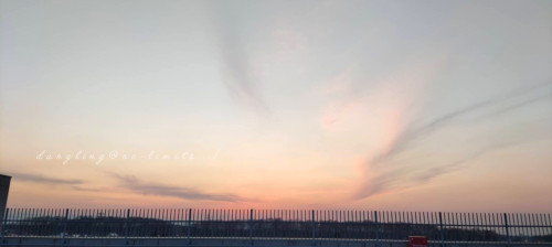 InShot_20260315_215921636.jpg