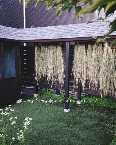 InShot_20260723_202945765.jpg