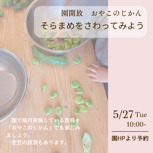 ５月おやこのじかん「そらまめをさわってみよう」