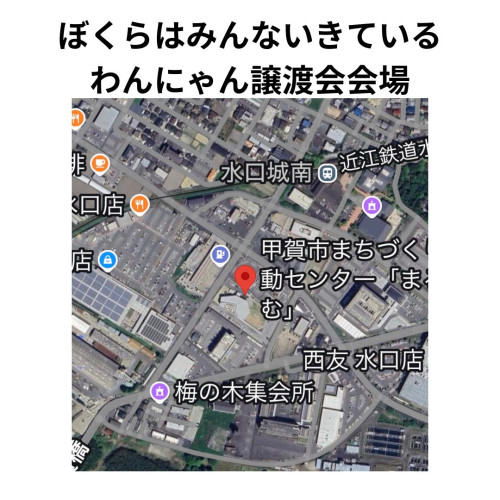 ぼくらはみんないきている会場.png
