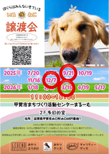 2025年後半ぼくいき.jpeg