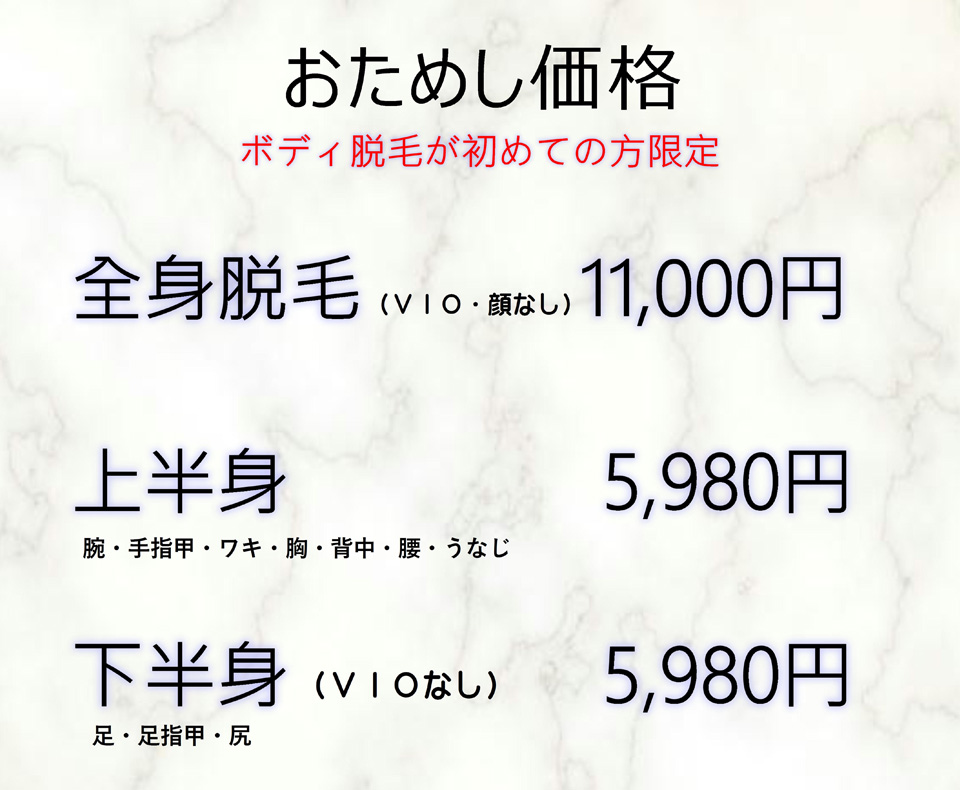 高速ハイブリッド脱毛お試し価格