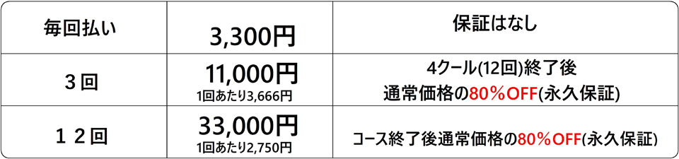 2箇所コース